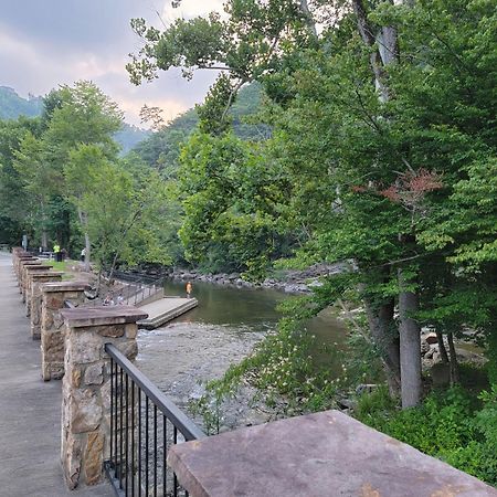 Bear Necessities, Luxury 5Bd Mtn Views, Hot Tub, Many Bear Sightings Villa Gatlinburg Ngoại thất bức ảnh