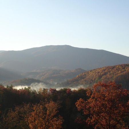 Bear Necessities, Luxury 5Bd Mtn Views, Hot Tub, Many Bear Sightings Villa Gatlinburg Ngoại thất bức ảnh