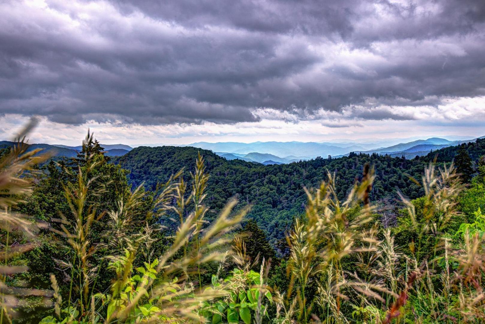Bear Necessities, Luxury 5Bd Mtn Views, Hot Tub, Many Bear Sightings Villa Gatlinburg Ngoại thất bức ảnh
