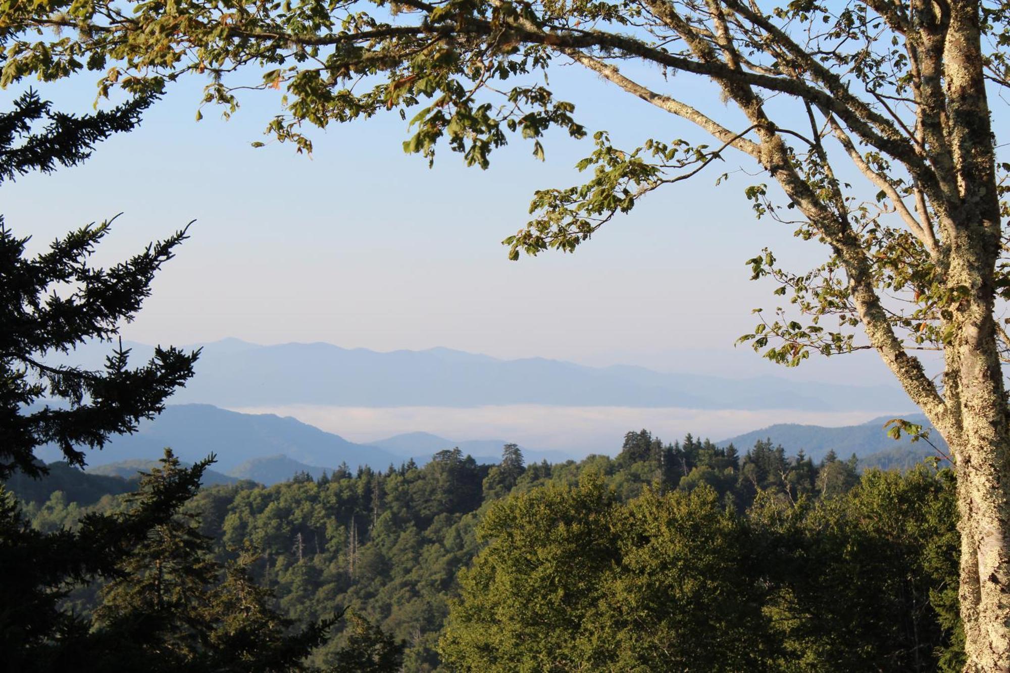 Bear Necessities, Luxury 5Bd Mtn Views, Hot Tub, Many Bear Sightings Villa Gatlinburg Ngoại thất bức ảnh