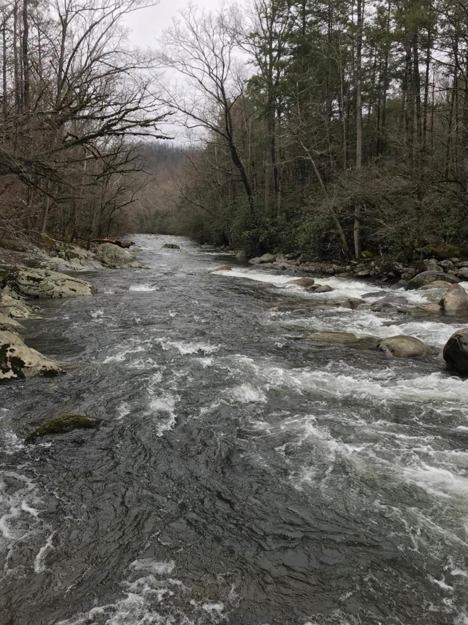 Bear Necessities, Luxury 5Bd Mtn Views, Hot Tub, Many Bear Sightings Villa Gatlinburg Ngoại thất bức ảnh