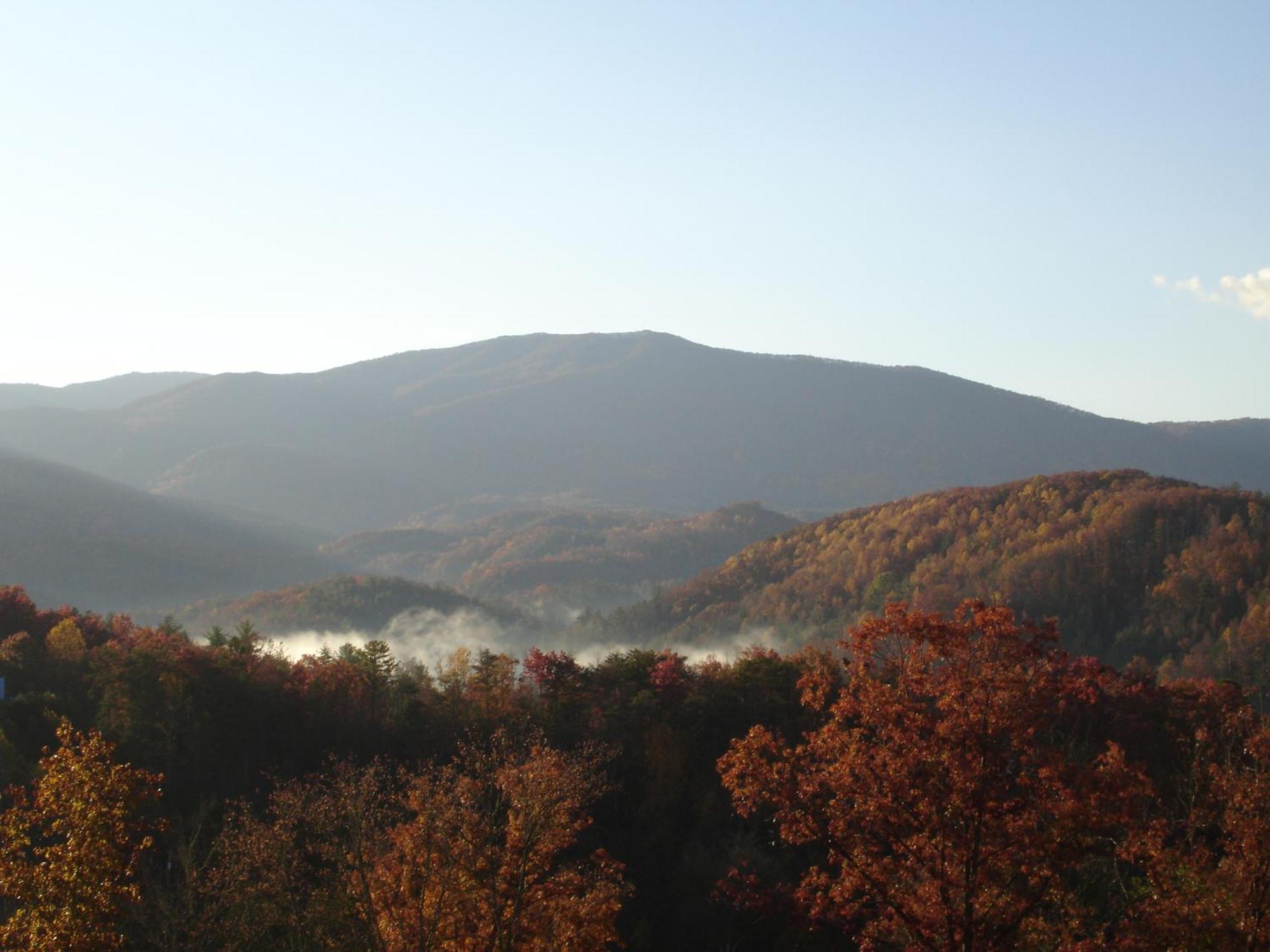 Bear Necessities, Luxury 5Bd Mtn Views, Hot Tub, Many Bear Sightings Villa Gatlinburg Ngoại thất bức ảnh