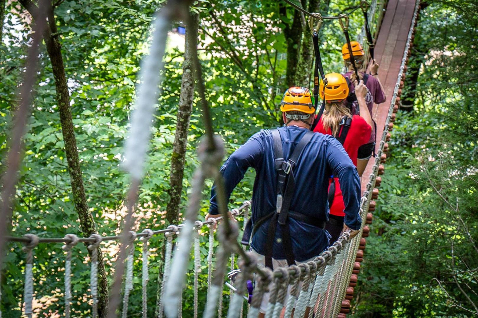 Bear Necessities, Luxury 5Bd Mtn Views, Hot Tub, Many Bear Sightings Villa Gatlinburg Ngoại thất bức ảnh