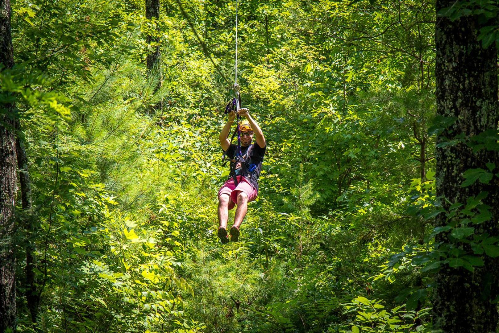 Bear Necessities, Luxury 5Bd Mtn Views, Hot Tub, Many Bear Sightings Villa Gatlinburg Ngoại thất bức ảnh